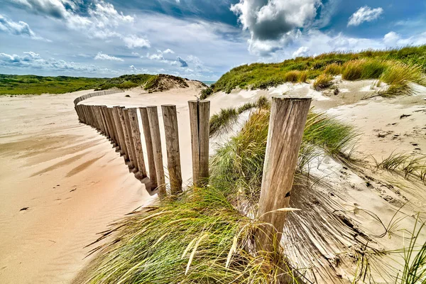 Dutch  dunes, grown with Beach Grass, taken with a wide angle on a sunny cloudy day.
