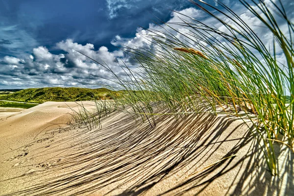 日当たりの良い曇りの日に広い角度で撮影されたビーチグラスで栽培されたオランダの砂丘 — ストック写真