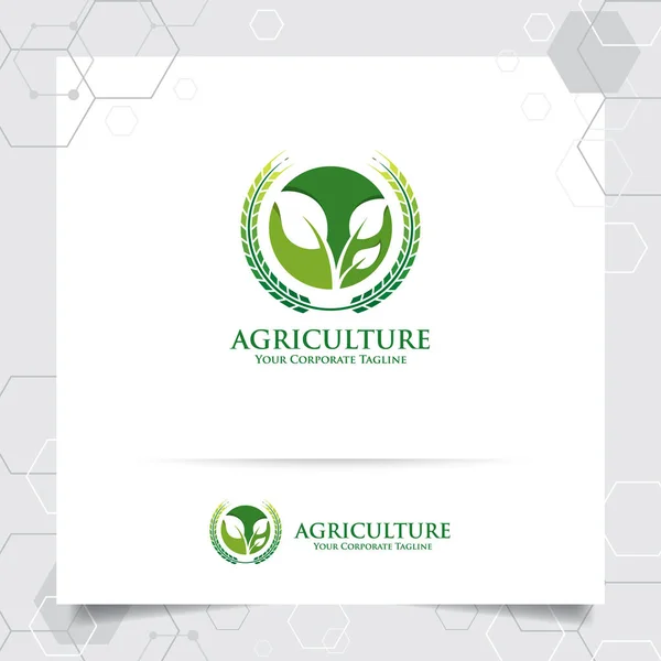 Progettazione Del Logo Agricoltura Con Concetto Icona Grano Pianta Lascia Illustrazione Stock