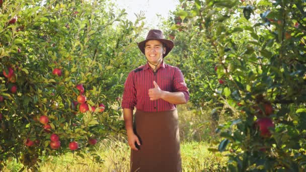 Портрет Счастливого Фермера Шляпе Стоящего Яблоневом Саду Протянувшего Большие Пальцы — стоковое видео
