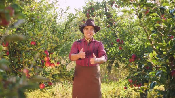 戴着帽子的快乐农民的画像站在苹果园里 举起了一根大手指 — 图库视频影像