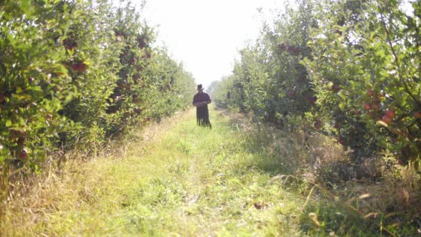 农民在苹果园中使用数字平板电脑的现代技术在农业种植活动中的应用 — 图库视频影像