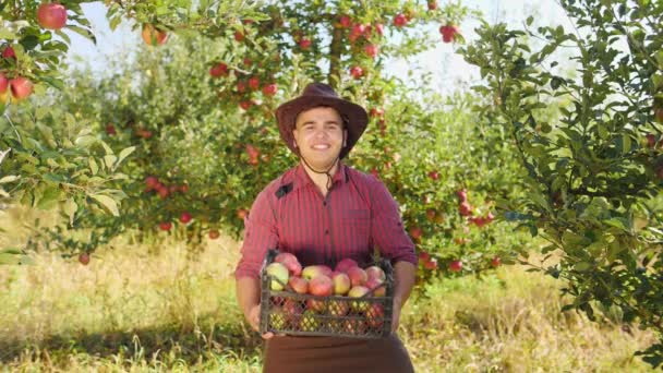 Agricultor Engraçado Atira Maçãs Caixa Jovem Agricultor Chapéu Avental — Vídeo de Stock