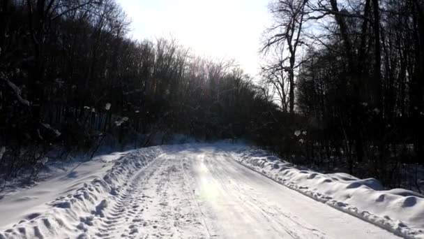 Movimiento de cámara en el camino nevado en el bosque en el día soleado — Vídeos de Stock