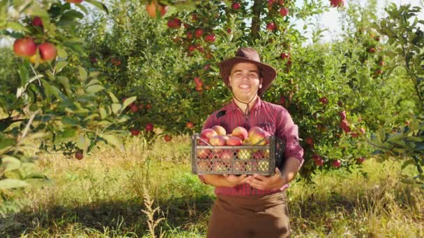 Retrato de agricultor con caja de manzanas haciendo el pulgar hacia arriba y muestra su músculo — Vídeos de Stock