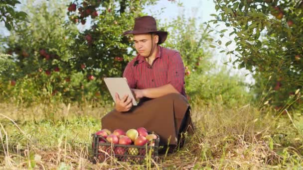 Petani menggunakan tablet digital di kebun apel . — Stok Video