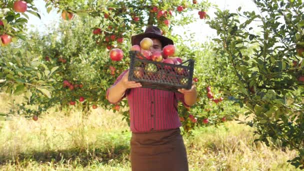 Grappige boer werpt de appels uit het vak — Stockvideo