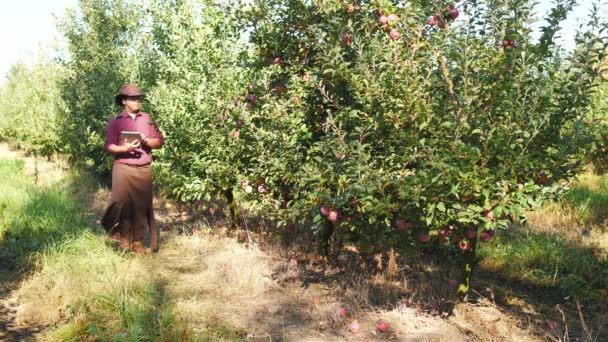 Landwirt nutzt digitales Tablet im Apfelgarten. — Stockvideo