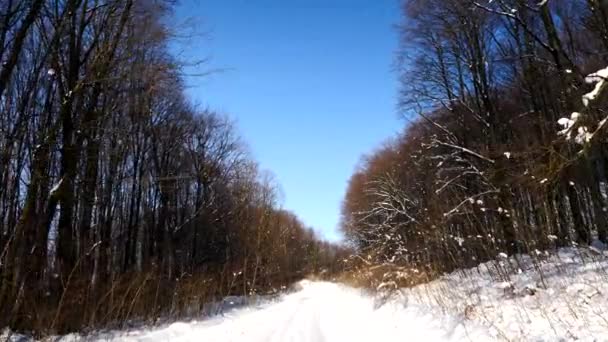 Κίνηση της κάμερας στο χιονισμένο δρόμο στο δάσος στην ηλιόλουστη μέρα. — Αρχείο Βίντεο