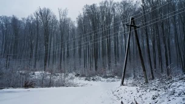 De camerabeweging op de besneeuwde weg in het bos. Het sneeuwt — Stockvideo