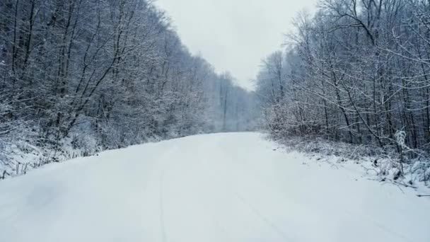Pohyb kamery na zasněžené silnici v lese. Jeho sněží — Stock video