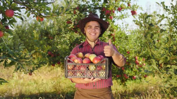 Portret van boer whith vak van appels duim tot doen en toont zijn spier — Stockvideo