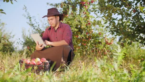 苹果园中使用数字平板电脑的农民. — 图库视频影像