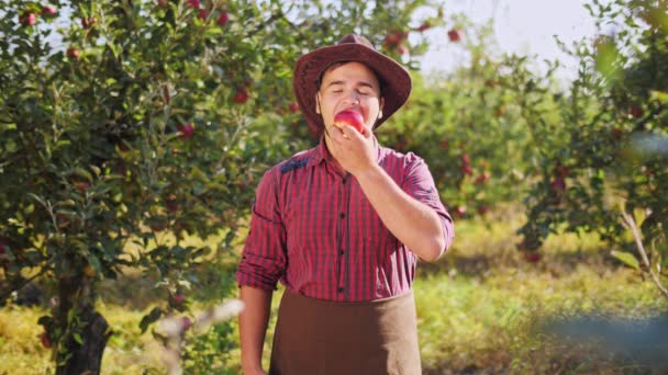 En ung jordbrukare äta ett äpple och visar tummen upp i apple trädgården — Stockvideo