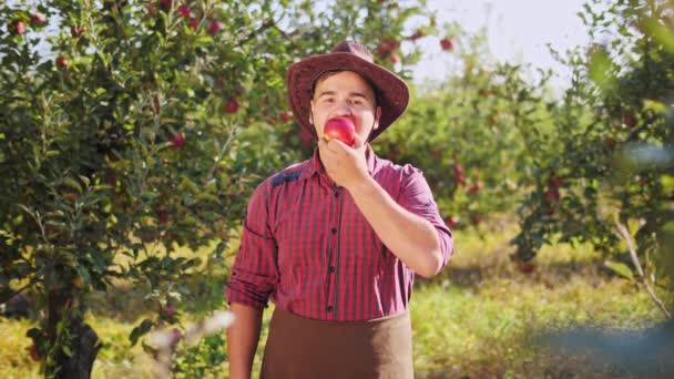 En ung jordbrukare äta ett äpple och visar tummen upp i apple trädgården — Stockvideo