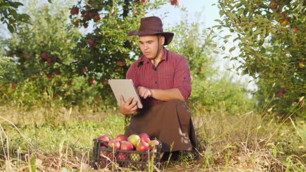 苹果园中使用数字平板电脑的农民. — 图库视频影像