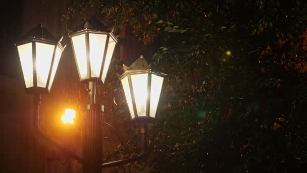 雨の間に街灯の光. — ストック動画