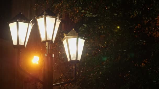 La luz de una farola durante una lluvia . — Vídeos de Stock