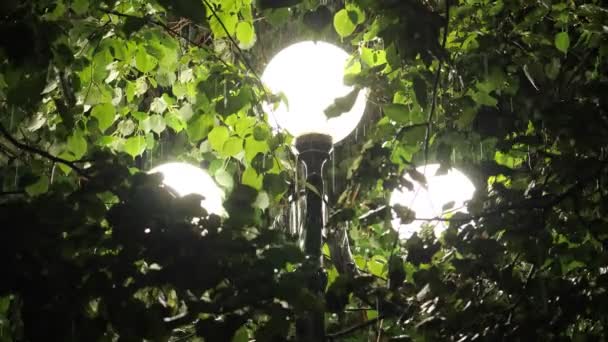 Свет уличного фонаря во время сильного дождя . — стоковое видео