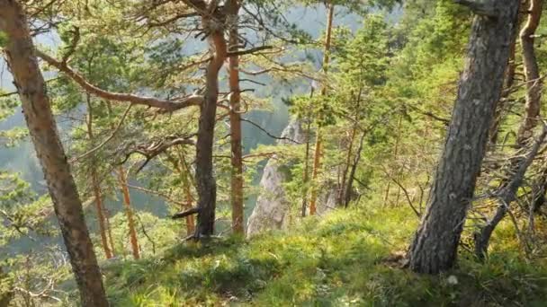 Hermosa vista desde el borde del acantilado en el día soleado . — Vídeo de stock