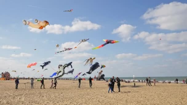 Den Haag, Nehterlands - 30 September, 2018:Kite festival op de pier. — Stockvideo