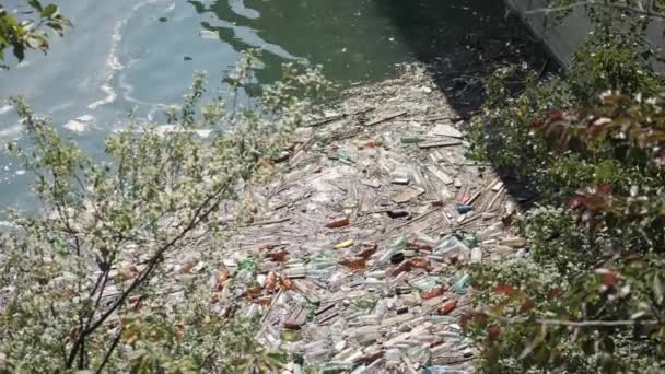 Botellas de plástico flotantes y diferentes basuras en un agua contaminada — Vídeos de Stock