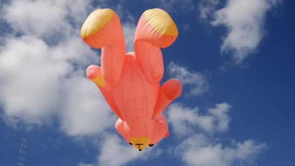 LA HAYE, PAYS-BAS - 30 SEPTEMBRE 2018 : Un grand cerf-volant d'ours rose contre les nuages — Video