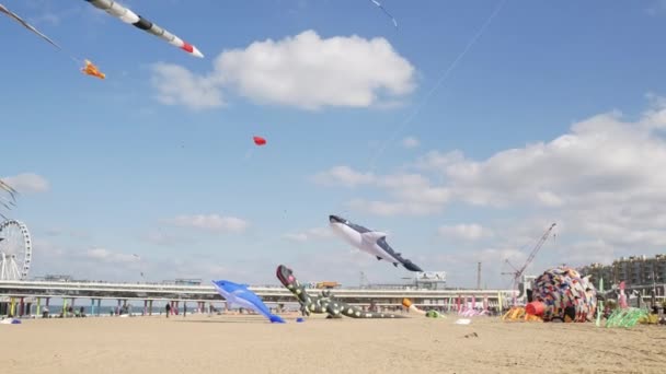 Den Haag, Nehterlands - 30 September, 2018:Kite festival op de pier. — Stockvideo