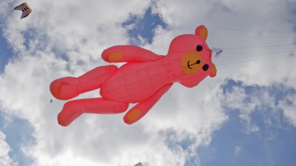 Гаага, Nehterlands - 30 вересня 2018: Великий рожевий ведмідь кайт проти хмари — стокове відео