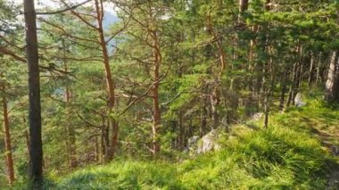 Güneşli bir gün, uçurumun kenarından güzel manzara.