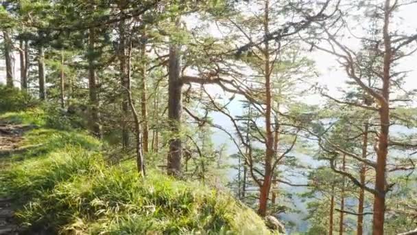 Hermosa vista desde el borde del acantilado en el día soleado . — Vídeo de stock