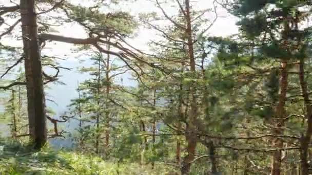 Hermosa vista desde el borde del acantilado en el día soleado . — Vídeo de stock