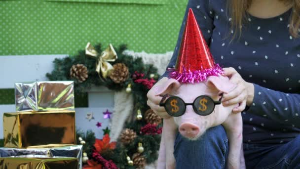 Een meisje houdt op haar knieën een varken met Kerstmis herten hoorns en in zonnebril — Stockvideo