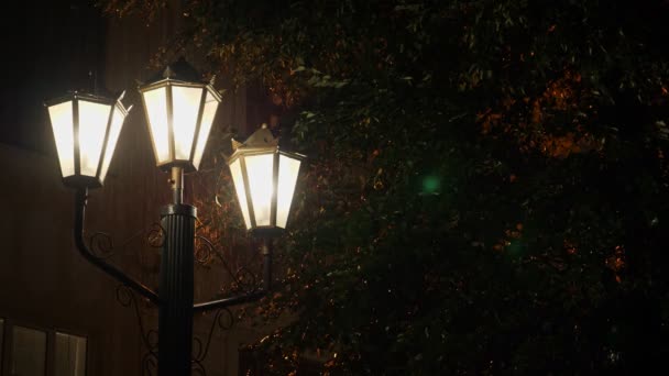 Het licht van een straat lamp tijdens een regen. — Stockvideo