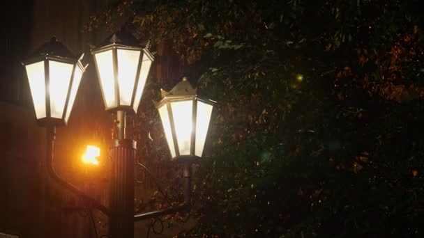 Het licht van een straat lamp tijdens een regen. — Stockvideo