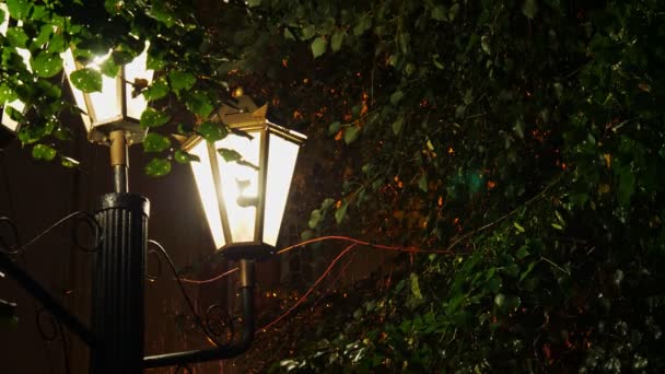 Het licht van een straat lamp tijdens een regen. — Stockvideo