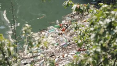 Plastik şişeler ve farklı çöp kirli suda yüzen