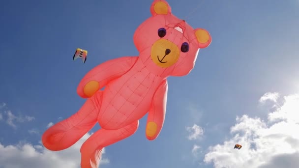 THE HAGUE, PAÍSES BAIXOS - 30 DE SETEMBRO DE 2018: Um grande papagaio de urso rosa contra nuvens — Vídeo de Stock