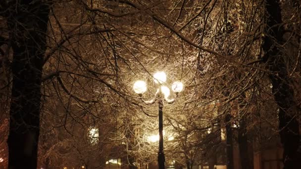 Красивый снег падает в свете уличного фонаря — стоковое видео