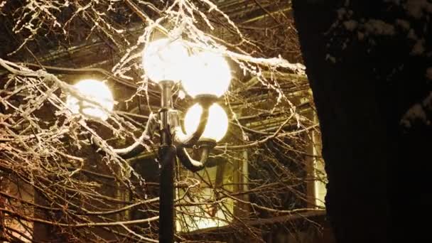 Bela neve cai à luz de uma lâmpada de rua — Vídeo de Stock
