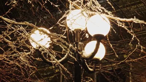 Az utcai lámpa fényében a gyönyörű hó esik — Stock videók
