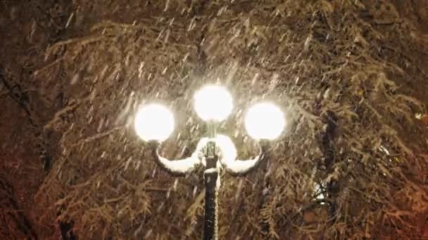 Bir sokak lambası ışığında güzel güçlü kar yağışı — Stok video