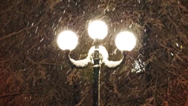 Bonita forte queda de neve à luz de uma lâmpada de rua — Vídeo de Stock