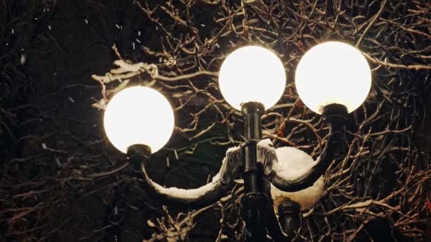 Beautiful strong snowfall in the light of a street lamp. Close-up — Stock Video
