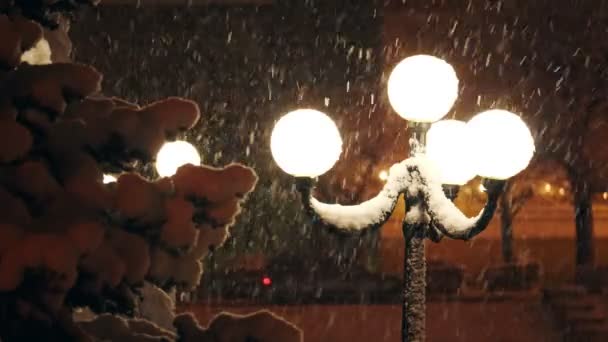 Mooie sterke sneeuwval in het licht van een straat lamp. — Stockvideo