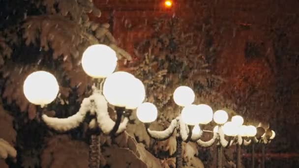 Falling Snow Bright Street Lamps Branches Trees Covered Snow — Stock Video