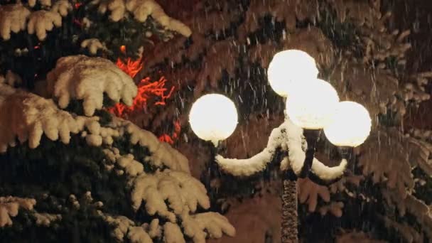 Bonita forte queda de neve à luz de uma lâmpada de rua . — Vídeo de Stock