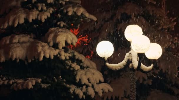 Mooie sterke sneeuwval in het licht van een straat lamp. — Stockvideo