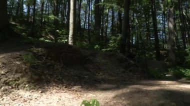 Dağ bisikleti hileler