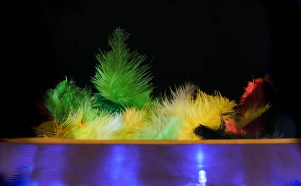 Multicolored feathers fly out of the fairytale box. On the table is a blue garland.